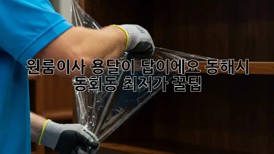 원룸이사? 용달이 답이에요! 동해시 동회동 최저가 꿀팁🍯
