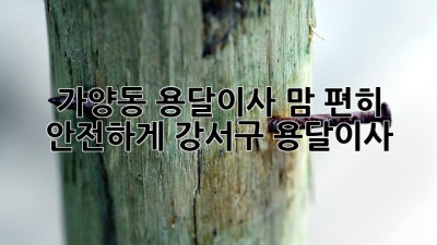 🚚 가양동 용달이사, 맘 편히 안전하게! #강서구 #용달이사