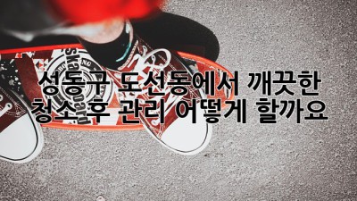 성동구 도선동에서 깨끗한 청소 후 관리, 어떻게 할까요?
